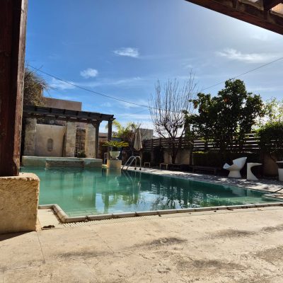 WhatsApp Image 2026-02-18 at 20.14.29 (1)