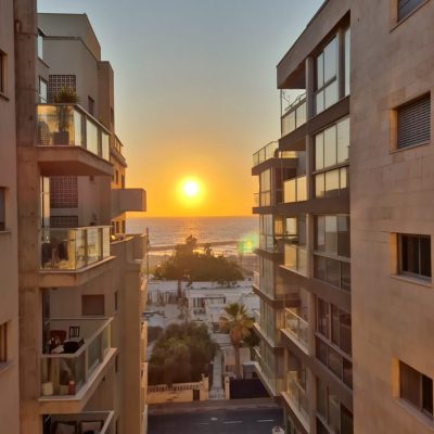 WhatsApp Image 2026-02-23 at 11.52.53